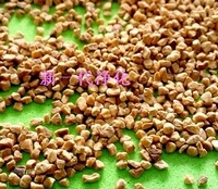 (yu)|(zh)ҚҚ(ͣҚw